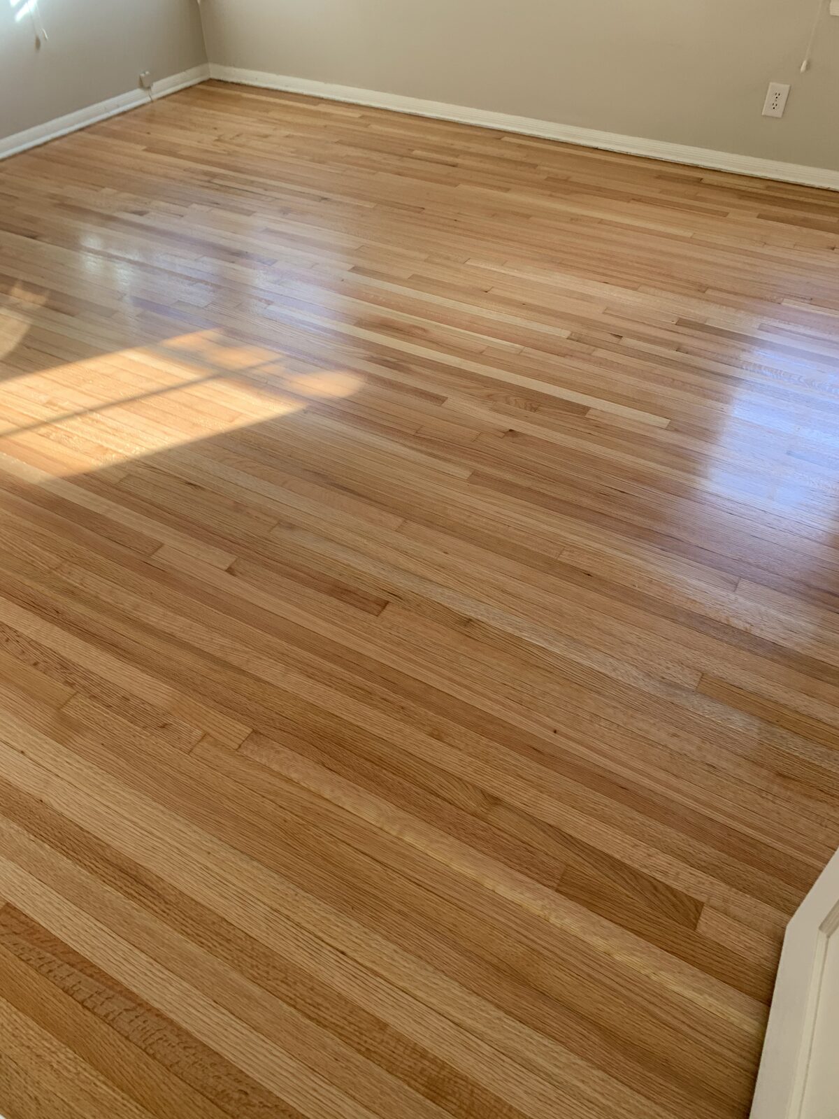 Sunlit red oak strip flooring with a natural finish